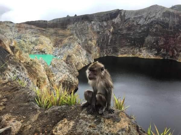 Andy'S Lodge Kelimutu Eksteriør bilde